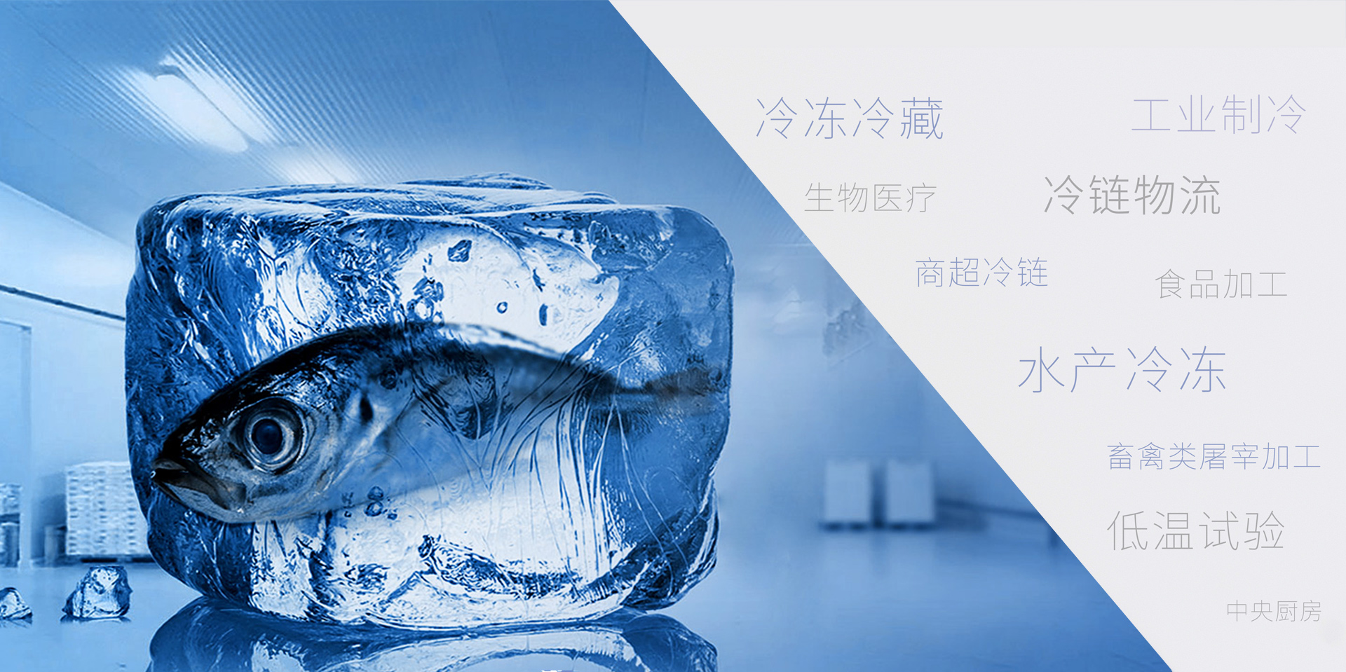 华体汇app苹果
