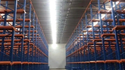 泰國榴蓮果肉倉儲庫，-22°C--25°C