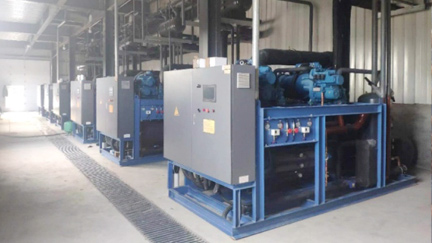 內蒙有機色素速凍儲藏，速凍量100噸速凍溫度-30°C