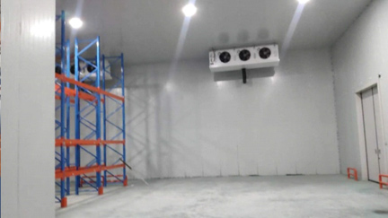 內蒙有機色素速凍儲藏，儲藏量1000噸儲藏溫度-20°C