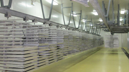 草莓切片凍幹 產能量400公斤/天