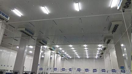 上海順凱物流 冷庫規模：11000平方米